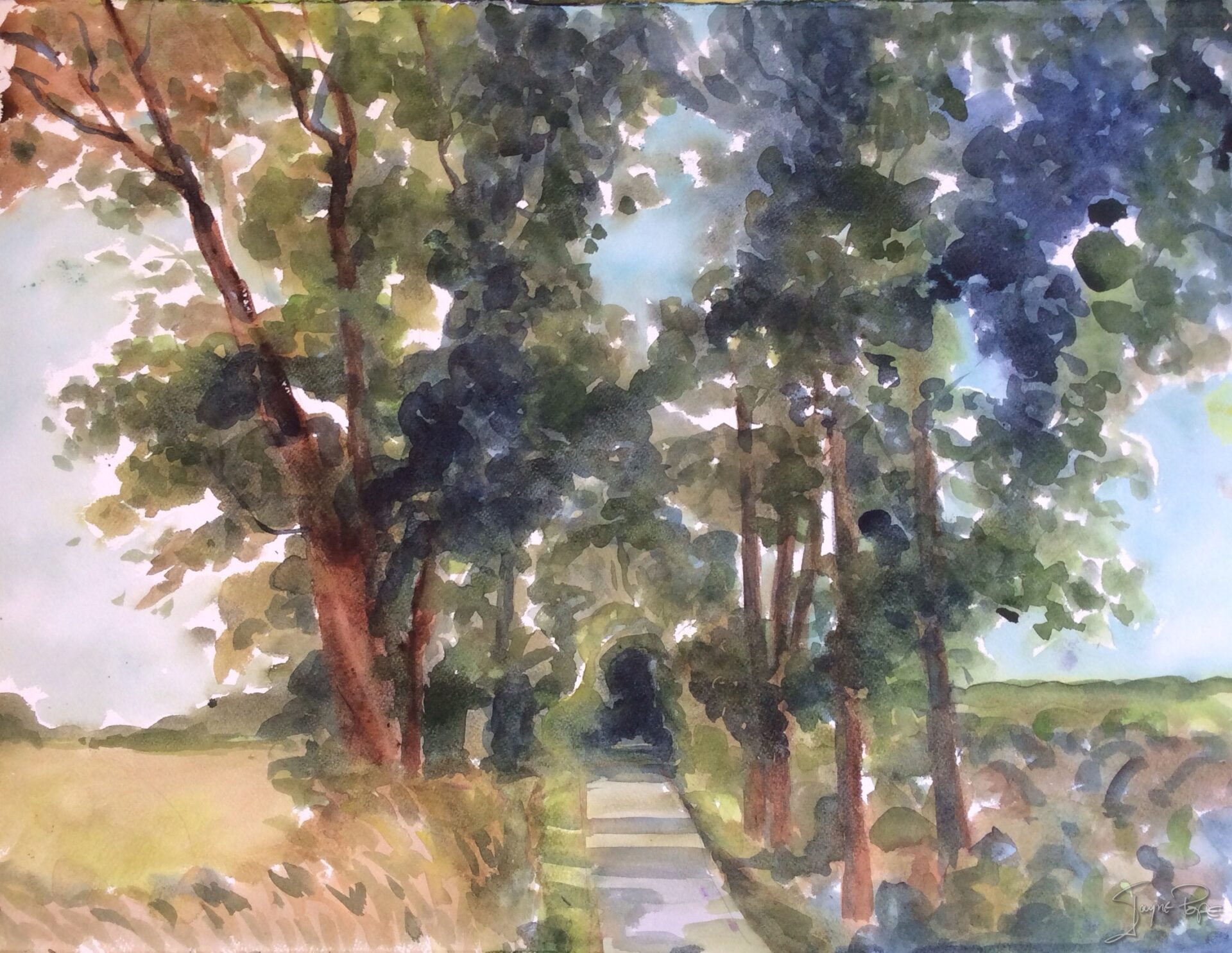 Watercolour